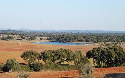 menina do laranjal12